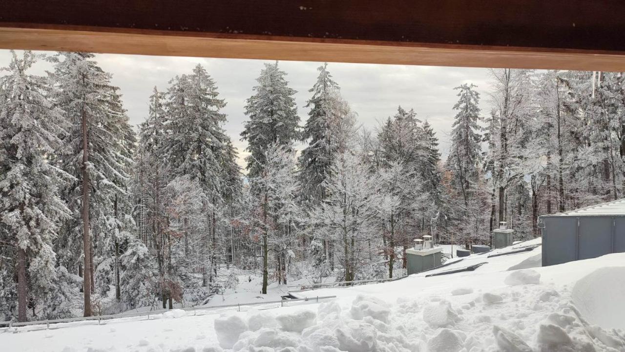 Pohorje Pearl Lux, 2-Floor Apartment ホコ・ポホリェ エクステリア 写真